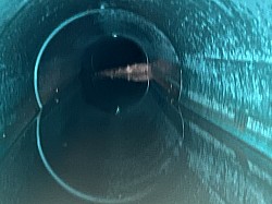 Pipe inspection video reviews